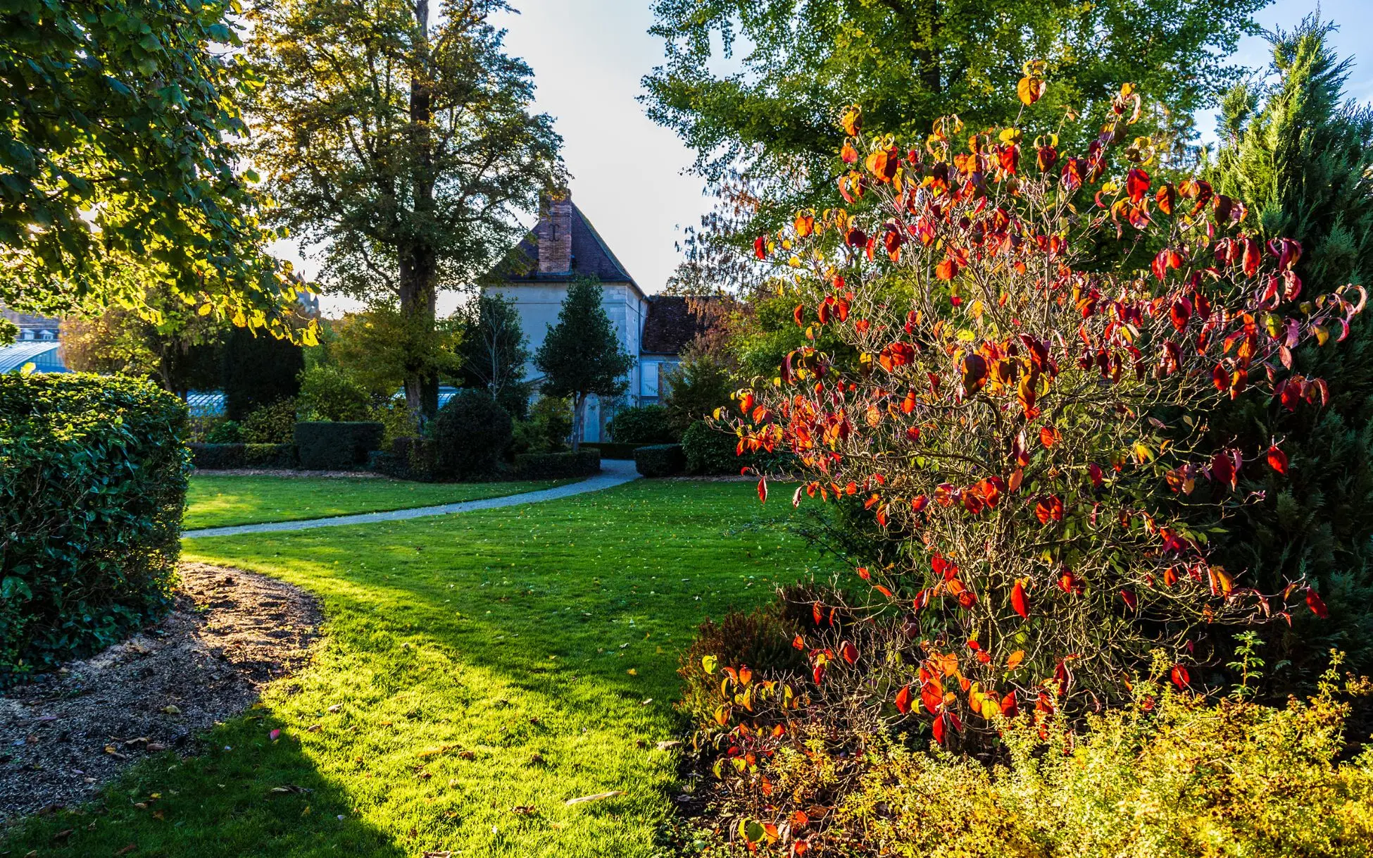 Jardin remis en forme après travaux